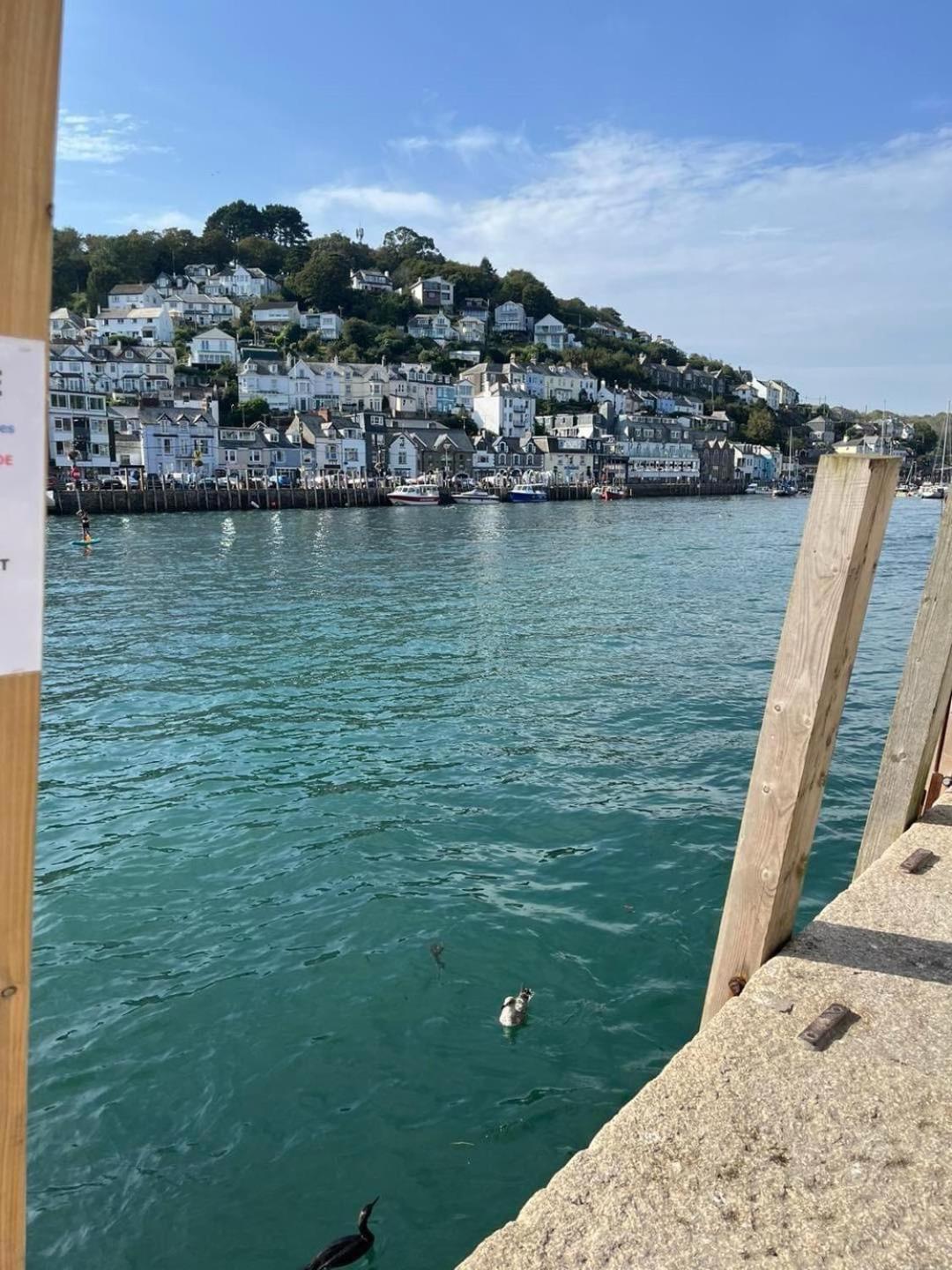 Seagull Cottage Looe Exterior photo